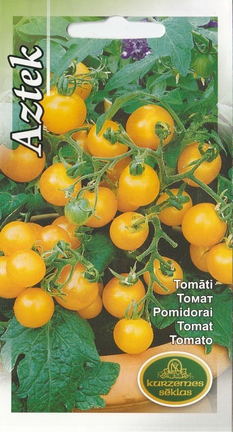 Kollane tomat Aztek