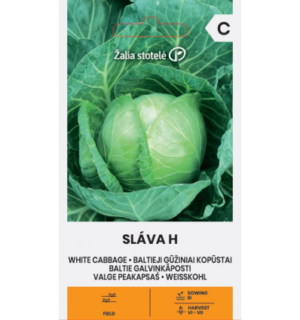 Valge peakapsas Slava H