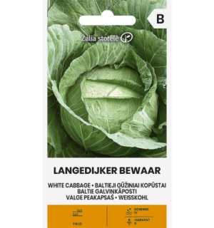 Valge peakapsas Langedijker Bewaar