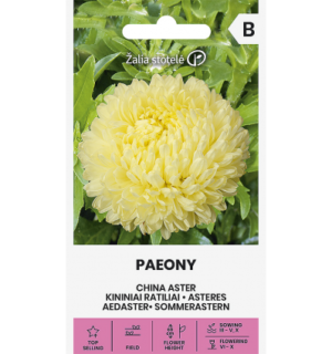 Hiina aster Paeony kollane