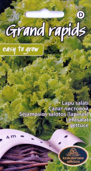 Lehtsalat Grand rapids lindil