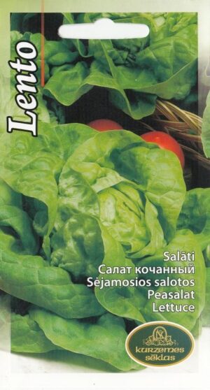Peasalat Lento