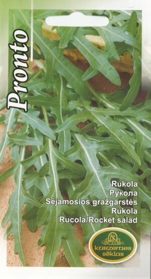 Rukola Pronto