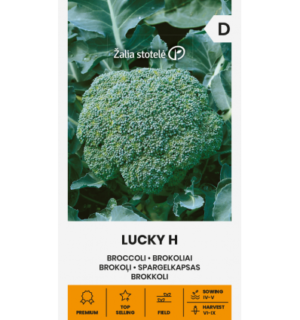 Brokkoli Lucky H