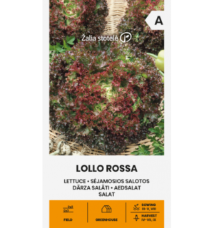 Lehtsalat Lollo Rossa