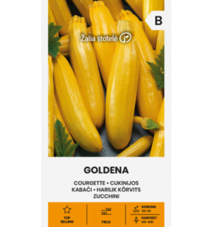 Kabatšokk Goldena