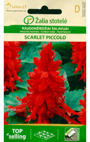 leek-salvei-scarlet-piccolo