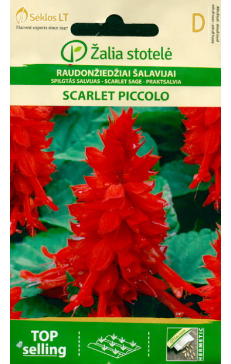 leek-salvei-scarlet-piccolo