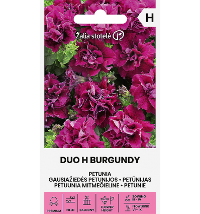 Mitmeõieline petuunia Duo H Burgundy