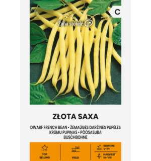 Põõsasuba Zlota Saxa