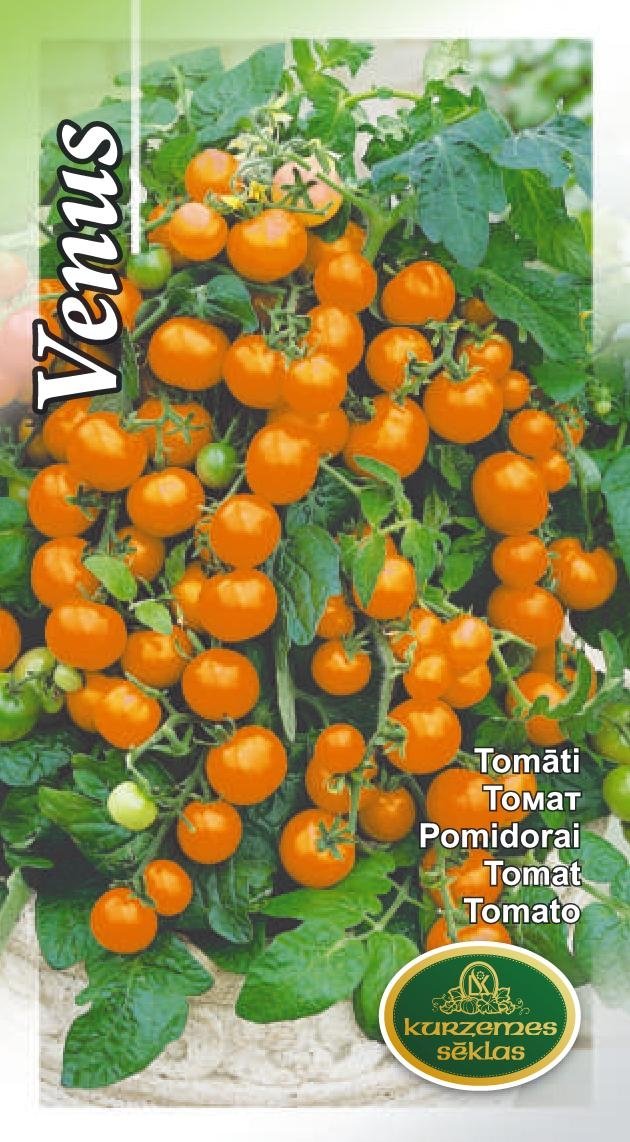 Madal tomat Venus