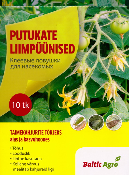 Putukate liimpüünis kollane