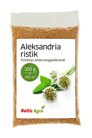 Aleksandria ristik ehk Egiptuse ristik