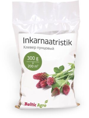 Inkarnaatristik