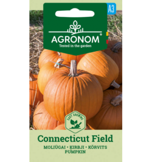 Kõrvits Connecticut Field