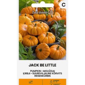Kõrvits Jack Be Little