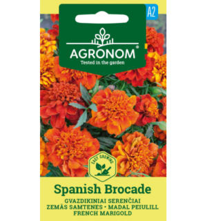 Madal peiulill Spanish Brocade