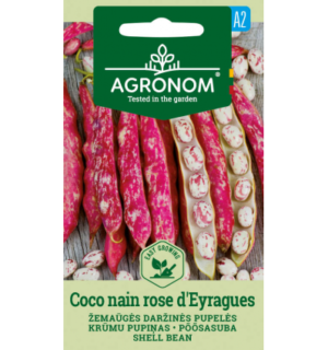 Põõsasuba Coco nain rose d´Eyragues