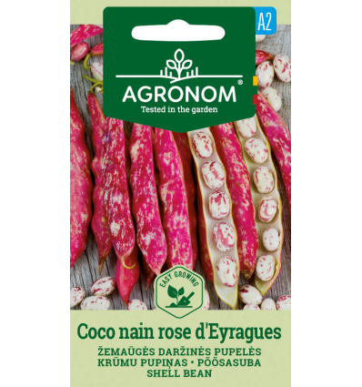 Põõsasuba Coco nain rose d´Eyragues