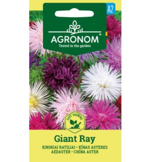 Aedaster Giant Ray segu