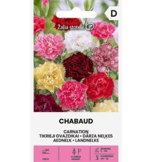 Aednelk Chabaud