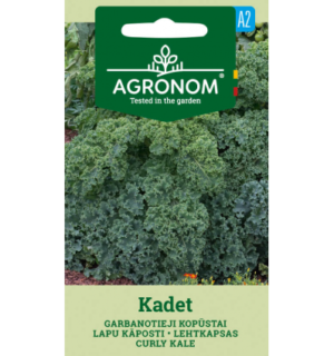 Lehtkapsas kale Kadet