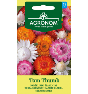 Õlelill Tom Thuumb