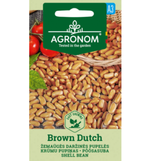 Põõsasuba Brown Dutch