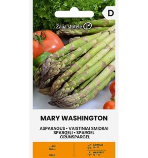 Spargel Mary Washington