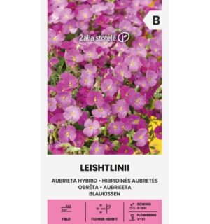 Aubrieta Leishtlinii