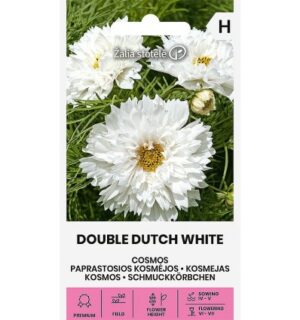Kosmos Double Dutch White