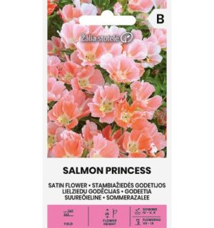 Sametlill- suureõieline godeetia Salmon Princess