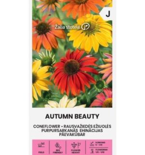Paevakubar Echinacea purpurea Autumn Beauty seemnete pakend