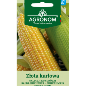 Suhkrumais Zlota karlowa