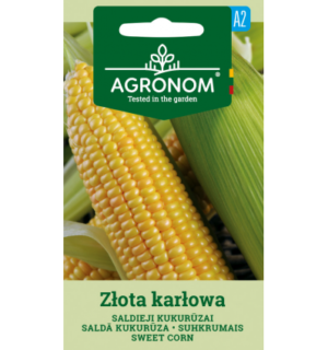 Suhkrumais Zlota karlowa