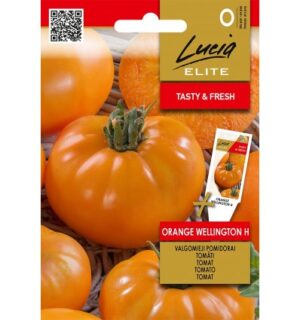 Tomat Orange Wellington F1