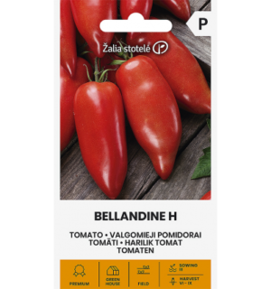 Harilik tomat Bellandine H