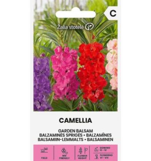Balsamiin-lemmalts Camellia