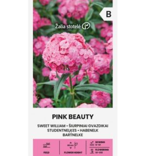 Habenelk Pink Beauty