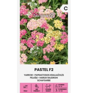 Harilik raudrohi Pastel F2