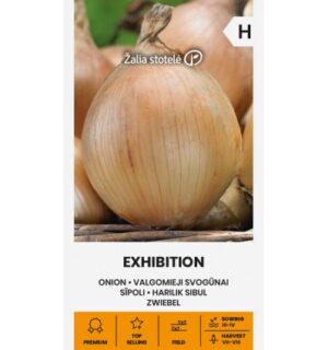 Harilik sibul Exhibition