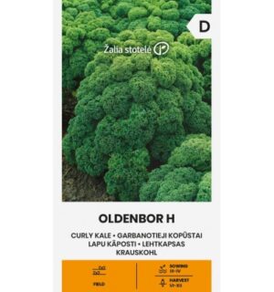 Lehtkapsas kale Oldenbor F1