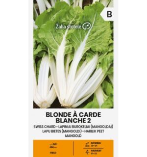 Lehtpeet Blonde À Carde Blanche 2
