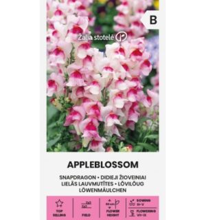 Lõvilõug Appleblossom