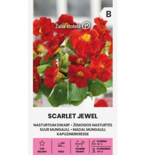 Madal mungalill Scarlet Jewel