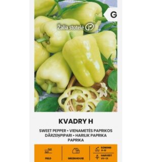 Magus paprika Kvadry H