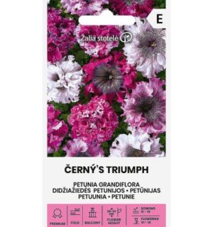 Petuunia Ćerny´s Triumph