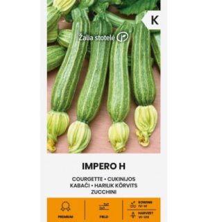Cucurbita pepo L.