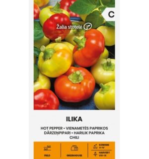 Terav pipar Ilika