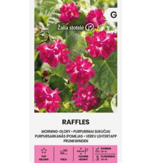 Verev lehtertapp Raffles